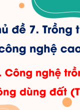 Bài 21. Công nghệ trồng cây không dùng đất (Tiết 2)